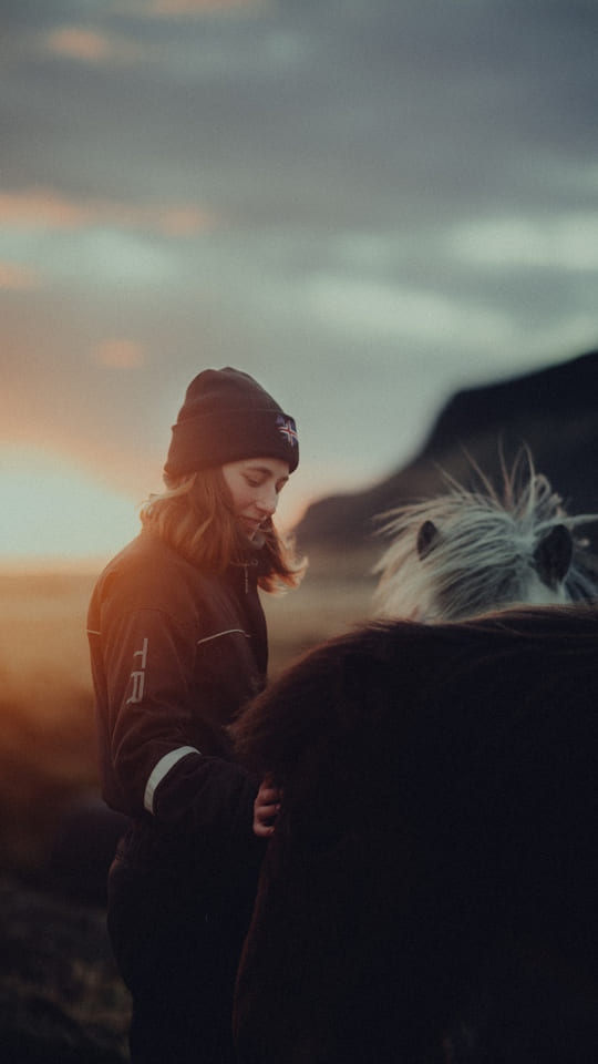 iceland-horse-portrait